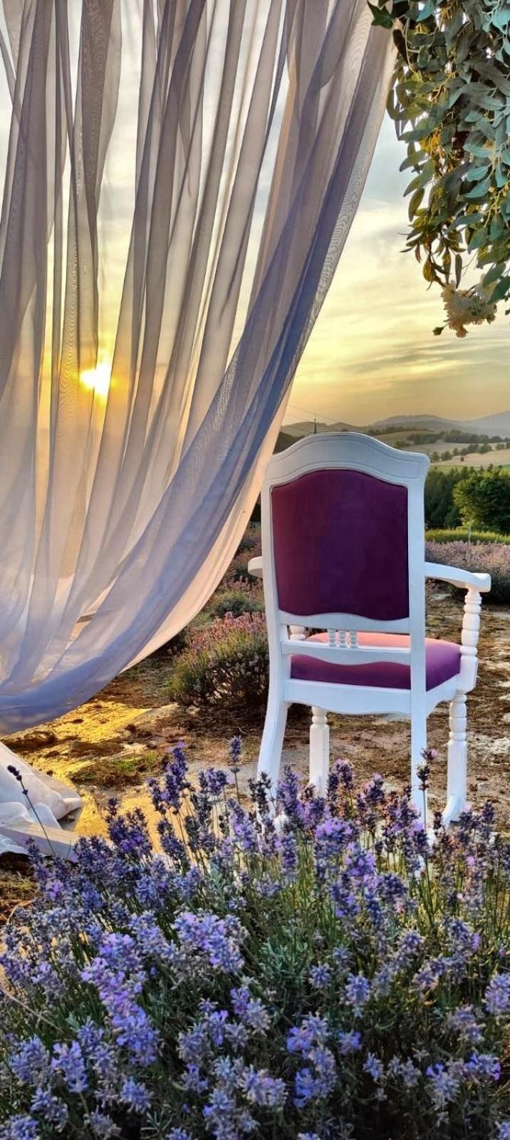Dom Pod Lawendowym Polem Bed & Breakfast Woliborz Exterior photo